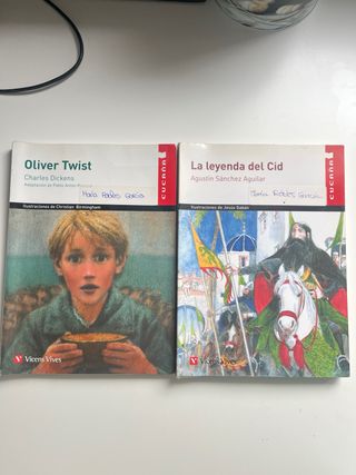 Lote de 4 libros lectura graduada vicens vives