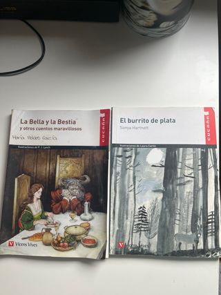 Lote de 4 libros lectura graduada vicens vives