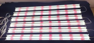 6 Luces LED para Orquídeas