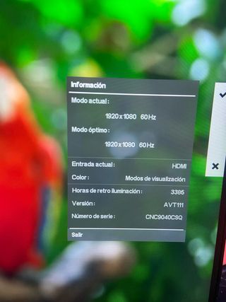 Monitor HP 22w Negro