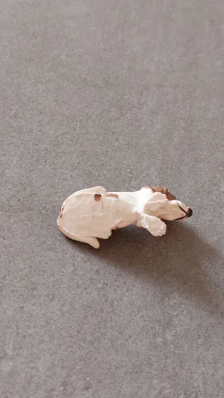 Basset Hound Topps 1997