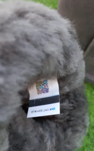 Botas UGG Niña Gris