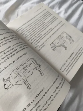 Manual de cocina. Recetario: Cocina tradicional...