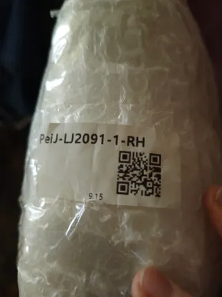 Rejillas Laterales Audi A7 (2 uds)