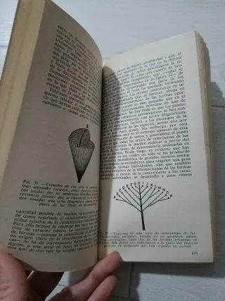 Consideraciones sobre las conductas animal y hu...