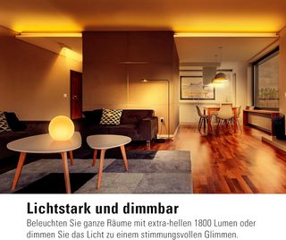 Tira LED Inteligente EVE