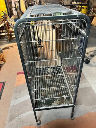 Jaula para pájaros, loros, ninfas