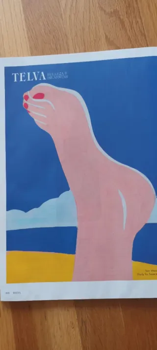 Lote de revistas de moda