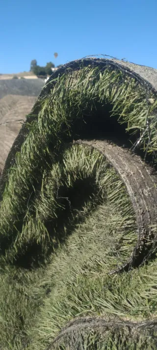 Césped artificial 3€/m²