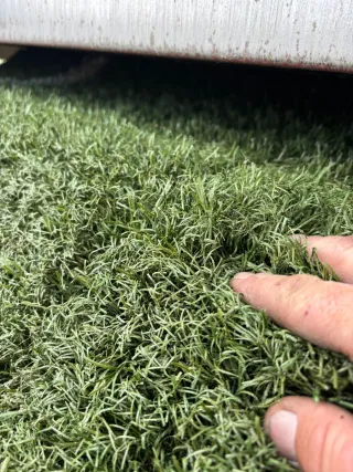 Césped artificial 3€/m²
