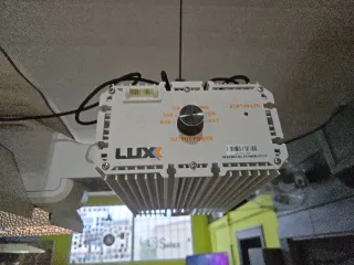 LUX Lighting 1000w