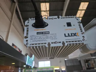 LUX Lighting 1000w