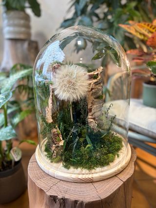 Cúpula cristal Diente de León