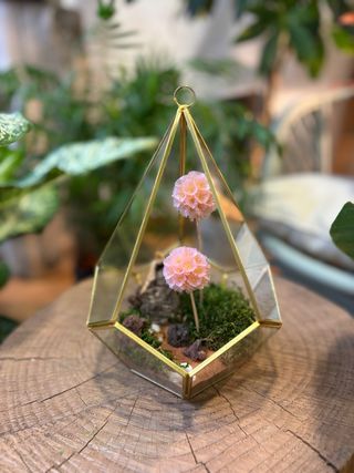 Cúpula cristal Diente de León