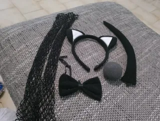 Kit Carnevale da gatto