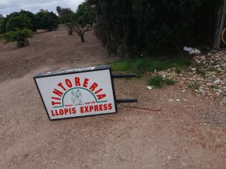 Cartel luminoso Tintoreria Llopis