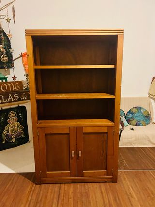 Biblioteca de madera con puertas