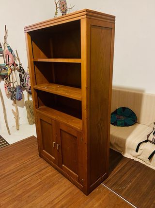 Biblioteca de madera con puertas