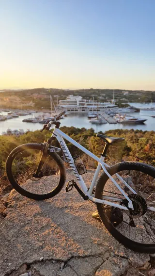 Specialized Rockhopper Comp 29