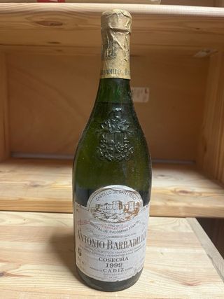 Lote de vinos antiguos