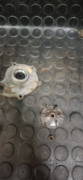 Eje Bomba Agua Husqvarna TE 310 12