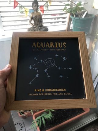 Cuadro decorativo Acuario