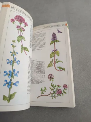 GUIA DE CAMPO DE LAS PLANTAS SILVESTRES. MICHAEL C