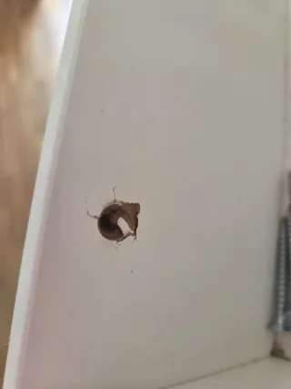 2 Estanterías librería Ikea 1m blanca