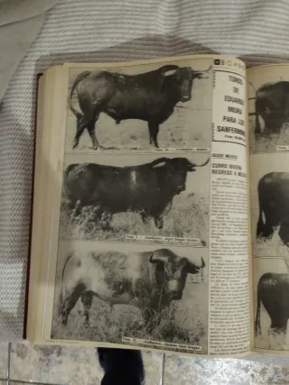 Revista Aplausos Toros Encuadernada 1984