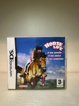 Lotto giochi Nintendo DS