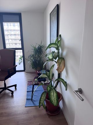 Alfombra de tela azul y marrón