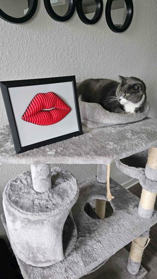 Lábios Vermelhos sem a moldura