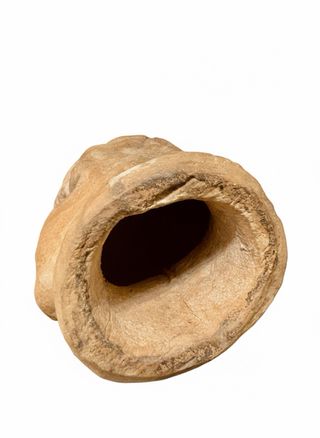 Scultura Testa Terracotta.