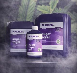 Plagron Sugar Royal Aditivo 1L, 5L, 10L, 20L