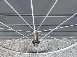 Rueda de bicicleta Campagnolo