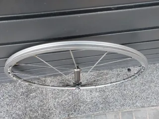 Rueda de bicicleta Campagnolo