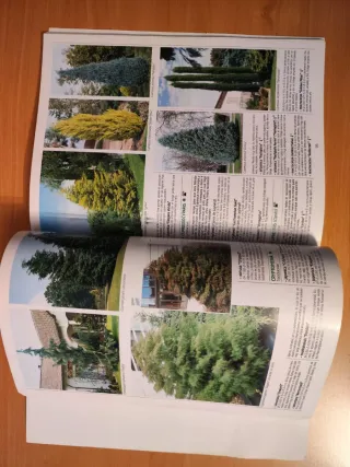 MILPLANTAS: Guía de plantas viveros España