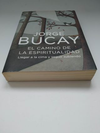 El camino de la espiritualidad (Jorge Bucay)