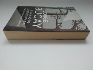 El camino de la espiritualidad (Jorge Bucay)