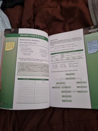 Au idò! Català per a adults. Nivell B2. Illes B...