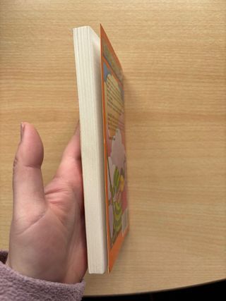 Libro El pirata garrapata