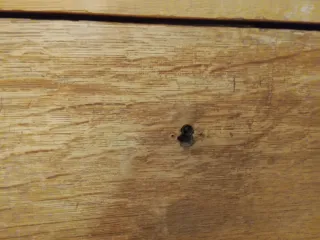 Banco de madera con cajón y detalles dorados