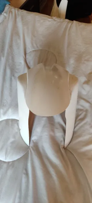 Carenado Kawasaki ZX10 2003 Falta el Colin Estado