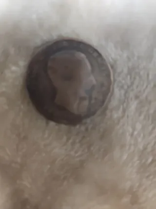 Moneda antigua con escudo y corona