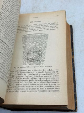 Libro La Historia Natural. Medicina. Tomo I. 1885
