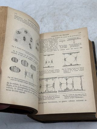 Libro La Historia Natural. Medicina. Tomo I. 1885