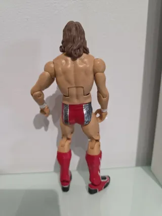 Figura WWE Daniel Bryan Mattel