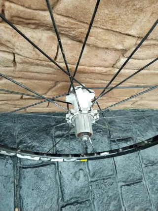 Llantas Mavic 29 Crossmax ST