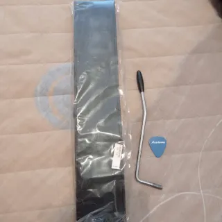 Guitarra Eléctrica Negra