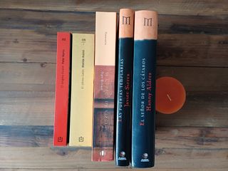 Lote 5 libros novela histórica